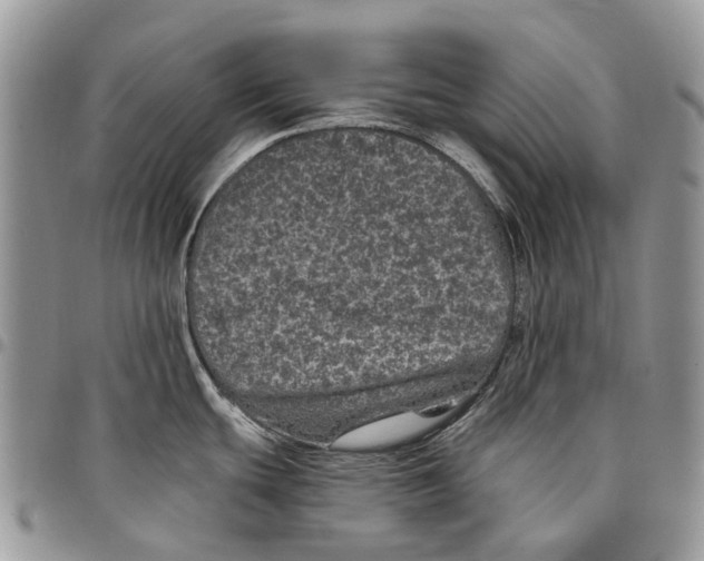 X0000097791439200803281714
