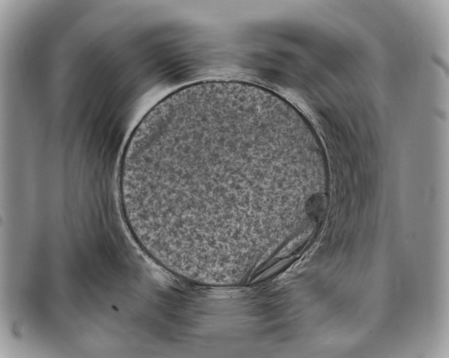 X0000097791440200803281714