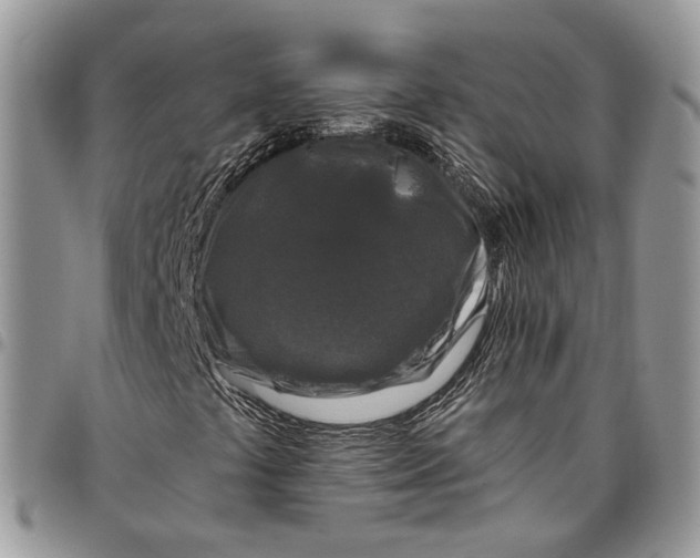 X0000097791441200803281713