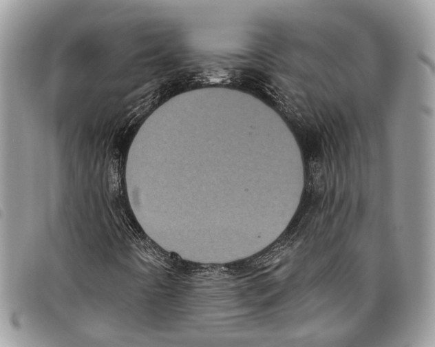 X0000097791442200803281713