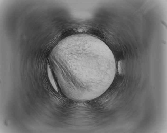 X0000097791443200803281713