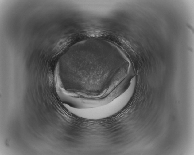 X0000097791444200803281713