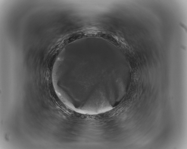 X0000097791445200803281713