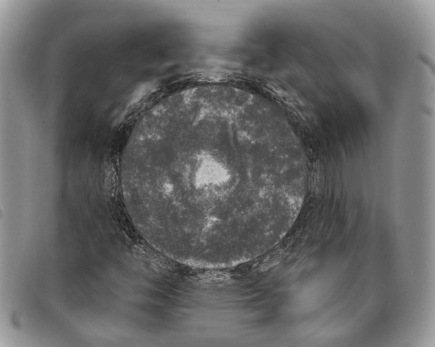X0000097791446200803281713