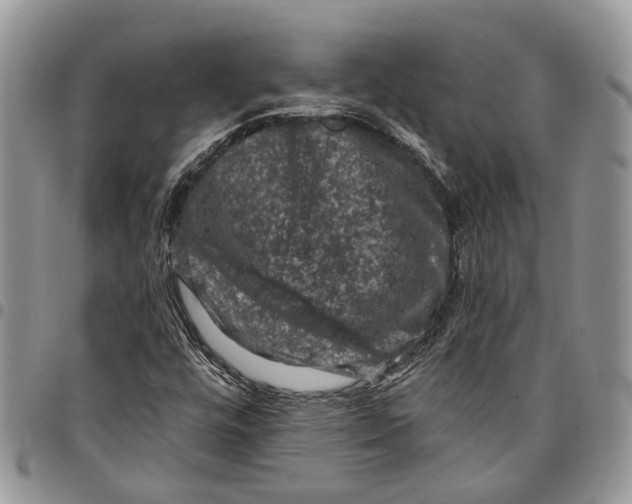 X0000097791448200803281713