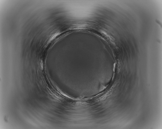 X0000097791449200803281713