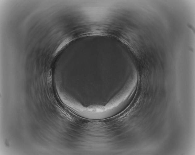 X0000097791450200803281713