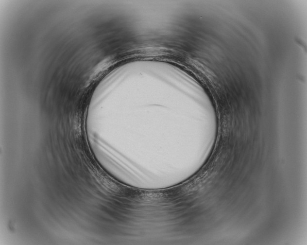 X0000097791451200803281713
