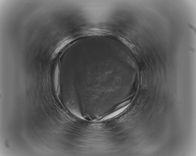 X0000097791453200803281713