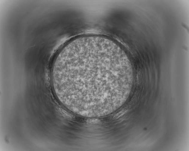 X0000097791454200803281713
