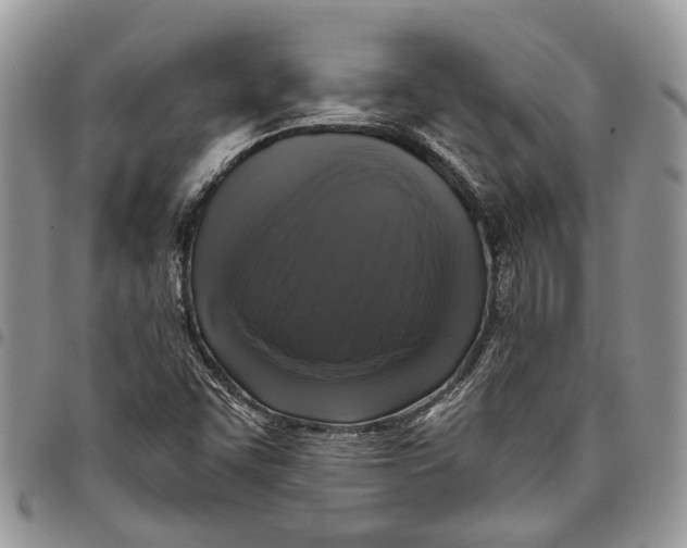 X0000097791455200803281713