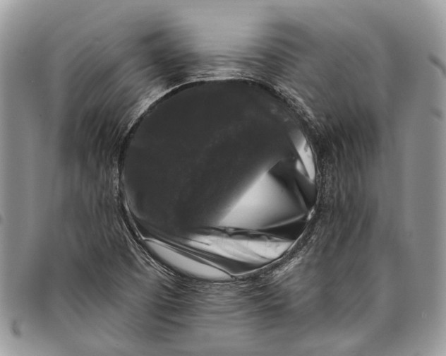 X0000097791457200803281713