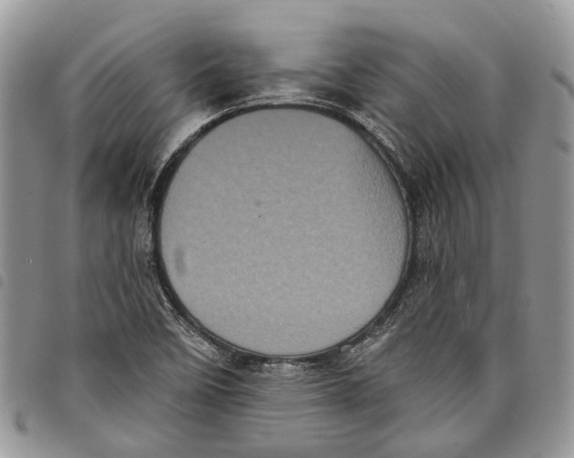 X0000097791458200803281713