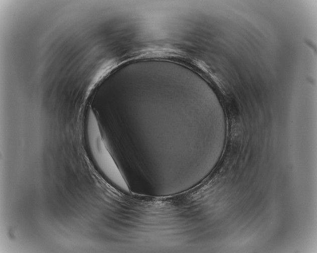 X0000097791459200803281713
