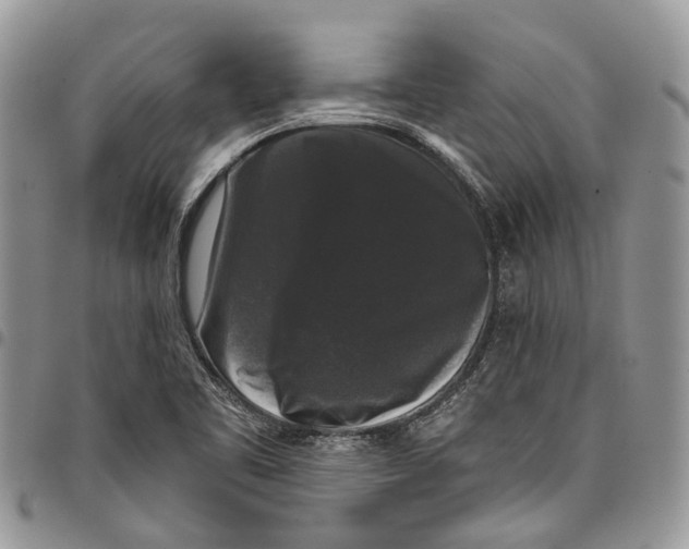 X0000097791461200803281713