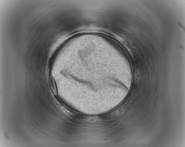 X0000097791464200803281713
