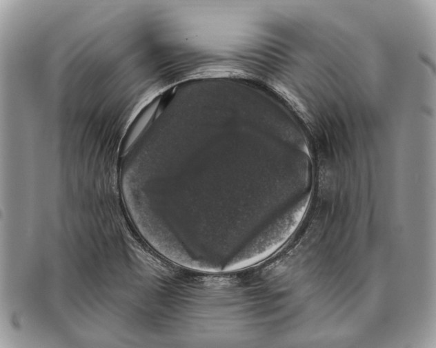 X0000097791465200803281713