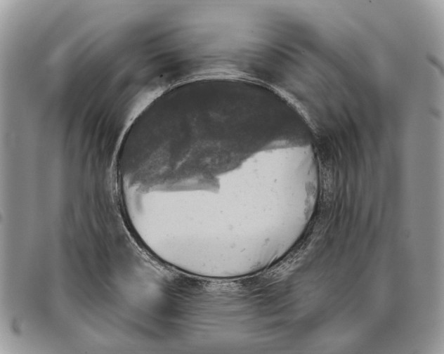 X0000097791466200803281713