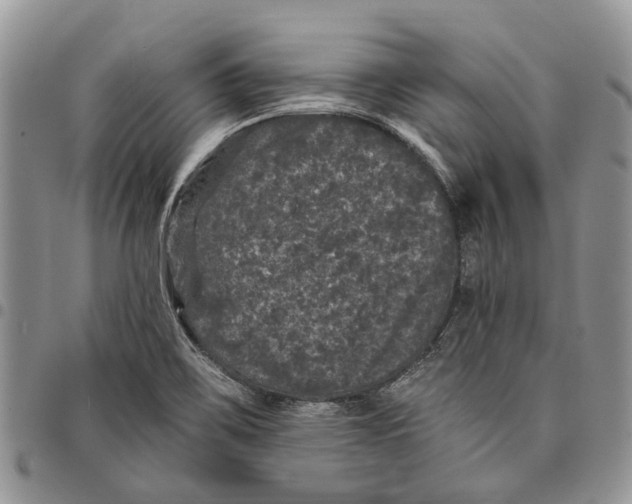 X0000097791467200803281713