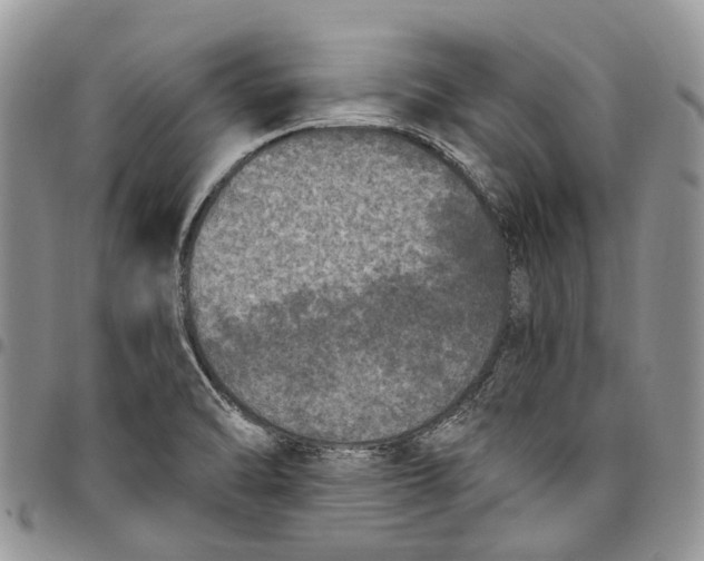 X0000097791470200803281713