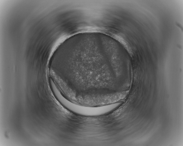 X0000097791472200803281713