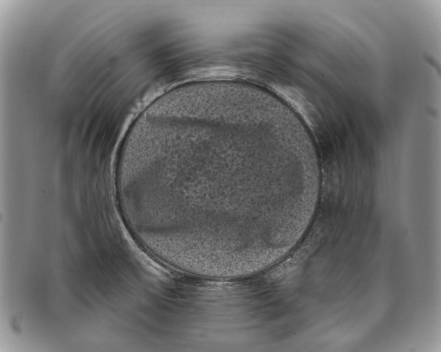 X0000097791475200803281713