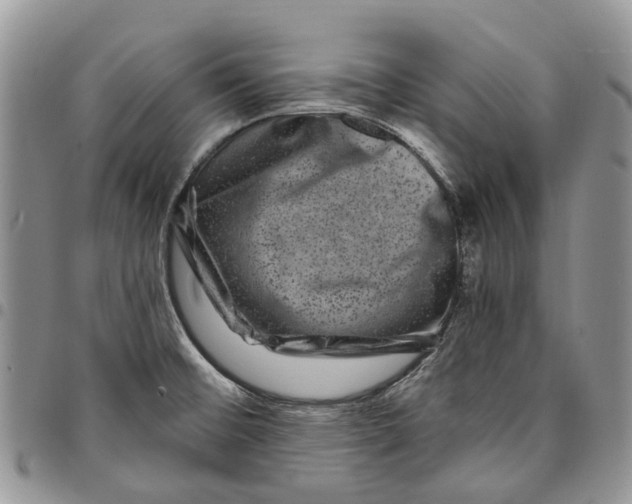 X0000097791476200803281713