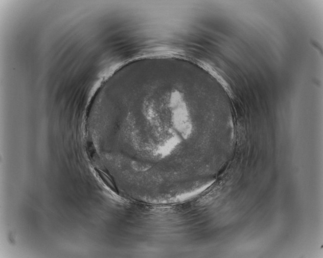X0000097791477200803281713