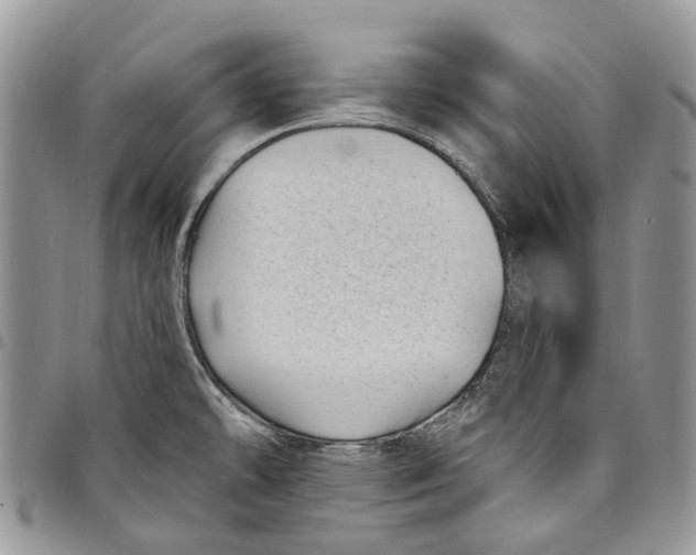 X0000097791478200803281713