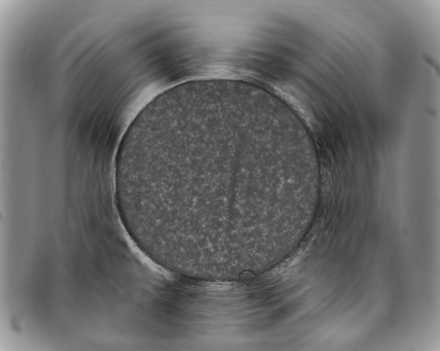 X0000097791479200803281713