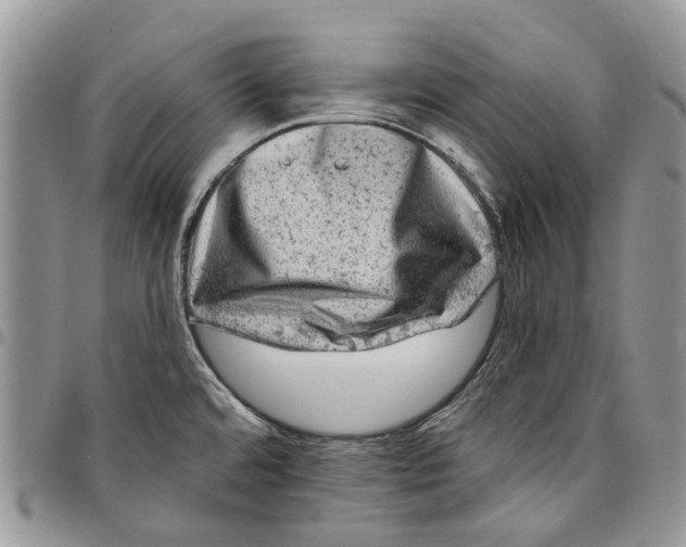 X0000097791480200803281713
