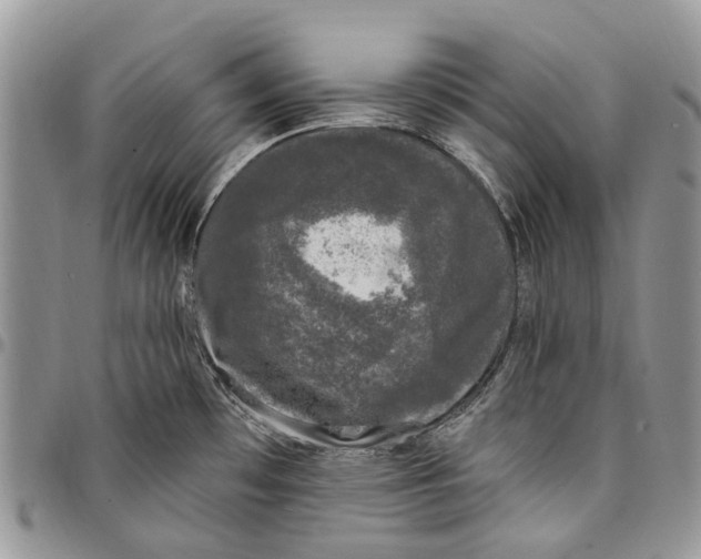 X0000097791481200803281713