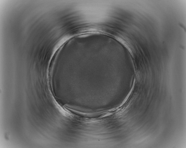 X0000097791482200803281712
