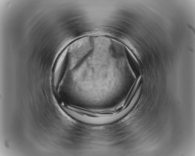 X0000097791484200803281712