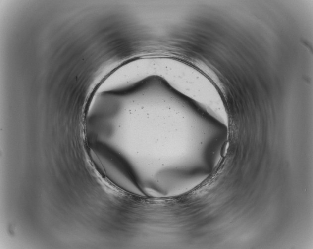 X0000097791485200803281712