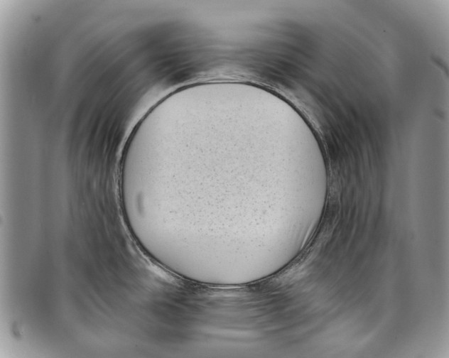 X0000097791486200803281712