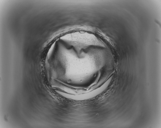 X0000097791496200803281712