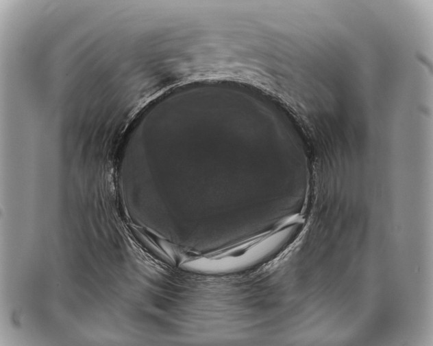 X0000097791497200803281712