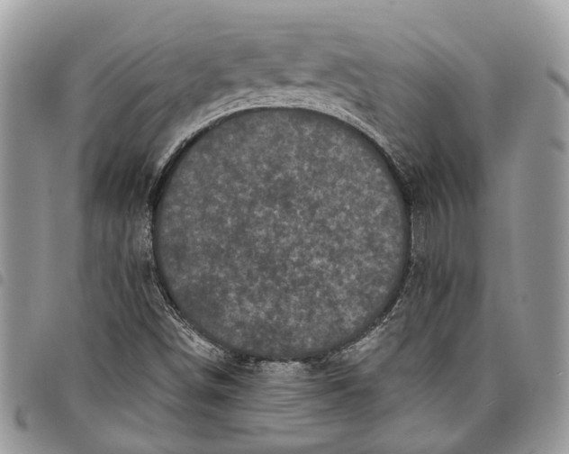 X0000097791498200803281712