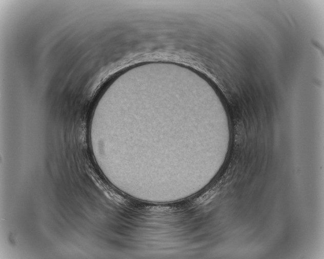 X0000097791499200803281712