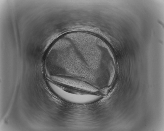 X0000097791501200803281712