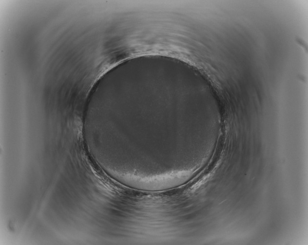 X0000097791505200803281712