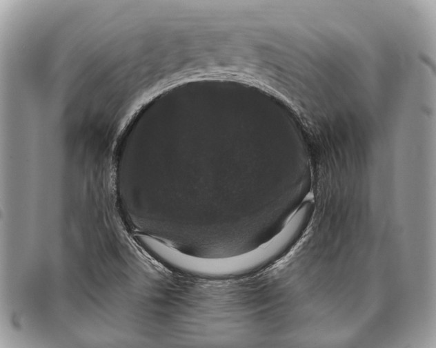 X0000097791506200803281712