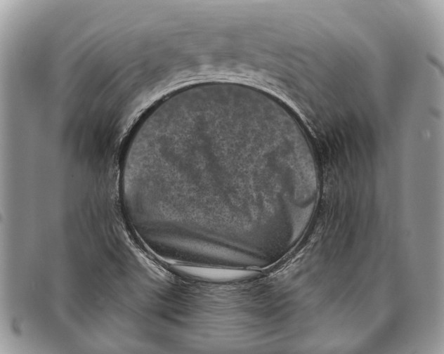 X0000097791507200803281712