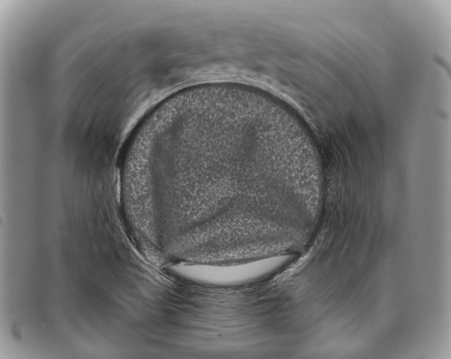 X0000097791509200803281712
