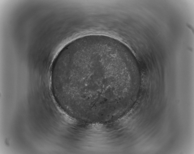 X0000097791511200803281712
