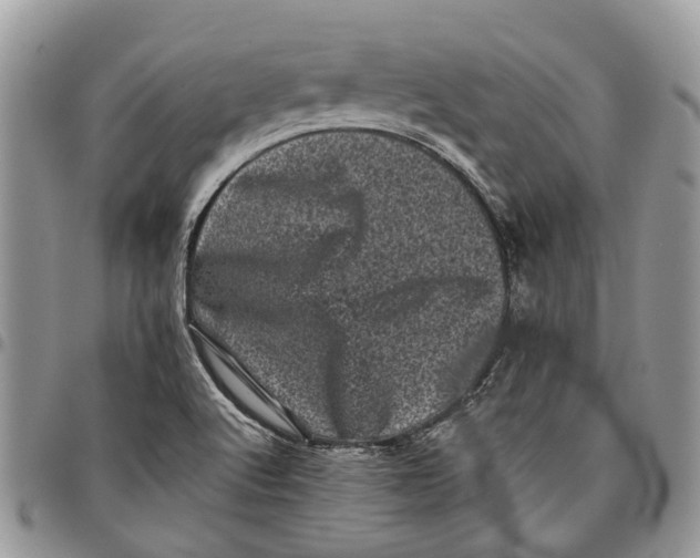 X0000097791512200803281712