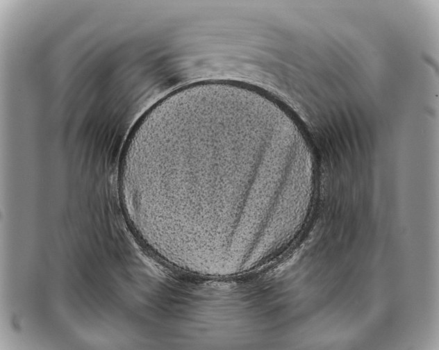 X0000097791513200803281712