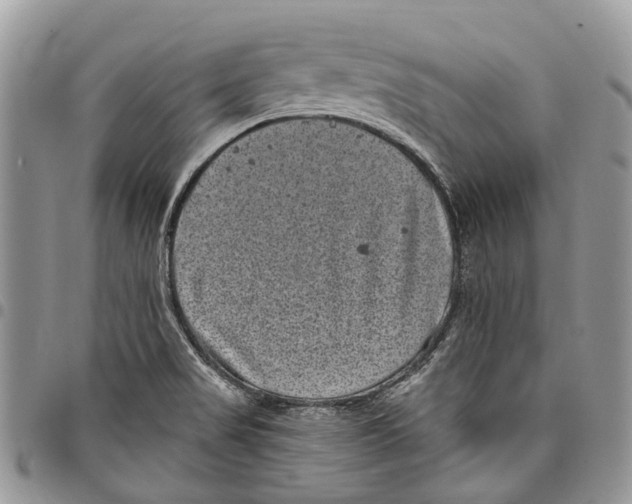 X0000097791517200803281712
