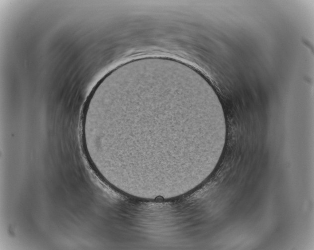X0000097791518200803281712
